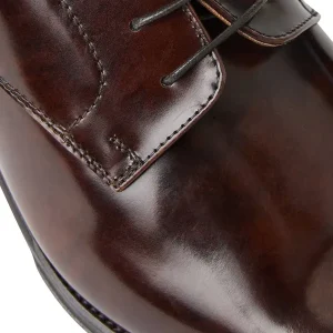 Bruno Magli Lace-Ups & Oxfords^Asti Traditional Dress Oxford Brown